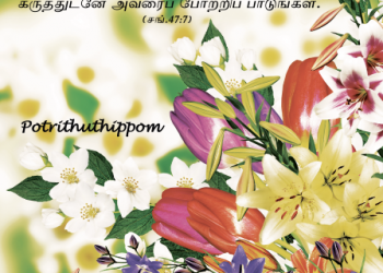 பாடல் 013 – போற்றித் துதிப்போம்