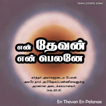 பாடல் 035 – என் தேவன் என் பெலனே