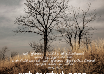 பாடல் 036 – யார் வேண்டும் நாதா நீரல்லவோ