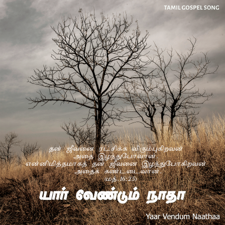 பாடல் 036 – யார் வேண்டும் நாதா நீரல்லவோ