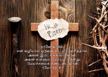 பாடல் 050 – வாசலண்டை நின்று ஆசையாய்