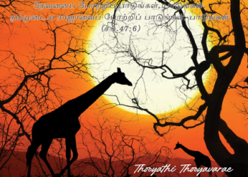 பாடல் 064 – தூயாதி தூயவரே உமது புகழை