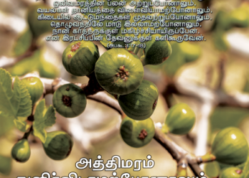 பாடல் 065 – அத்தி மரம் துளிர்விடா