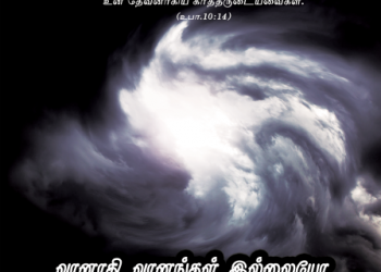 பாடல் 073 – வானாதி வானங்கள் இல்லையோ