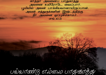 பாடல் 141 – பல்லாண்டு எம்மைப் பாதுகாத்த