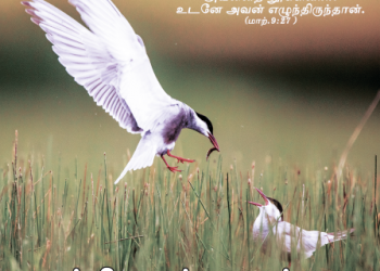 பாடல் 209 – தூக்கி எடுத்து என்னை