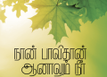 பாடல் 224 – நான் பாவி தான்