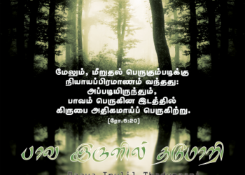 பாடல் 249 – பாவ இருளில் தடுமாறி