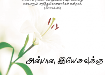 பாடல் 252 – அன்பான இயேசுவுக்கு